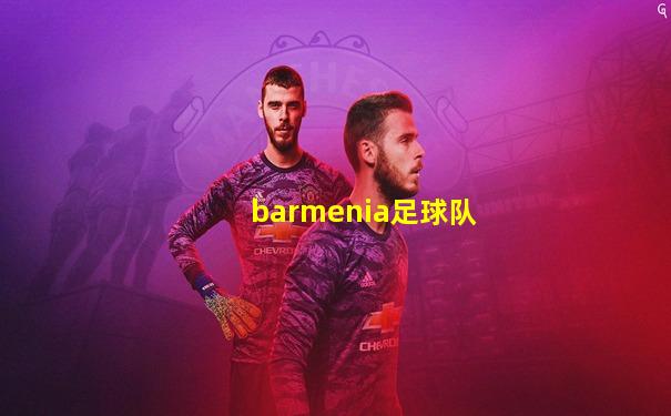 barmenia足球队