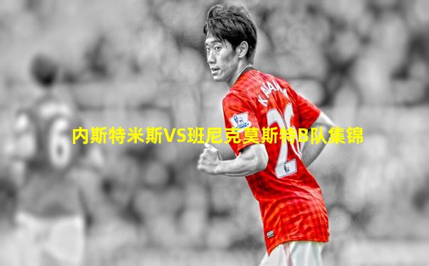 内斯特米斯VS班尼克莫斯特B队集锦