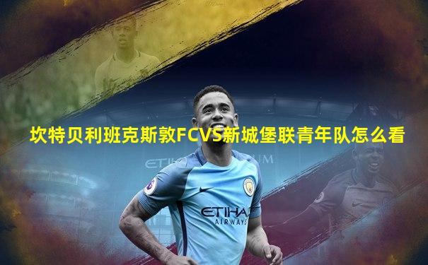 坎特贝利班克斯敦FCVS新城堡联青年队怎么看