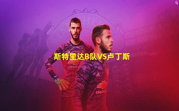 斯特里达B队VS卢丁斯