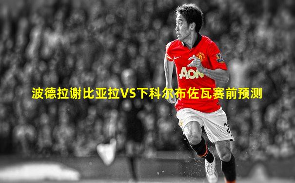 波德拉谢比亚拉VS下科尔布佐瓦赛前预测