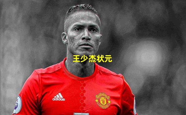 王少杰状元