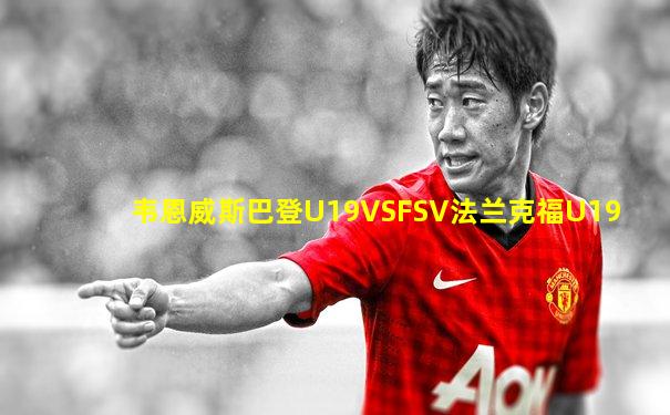 韦恩威斯巴登U19VSFSV法兰克福U19